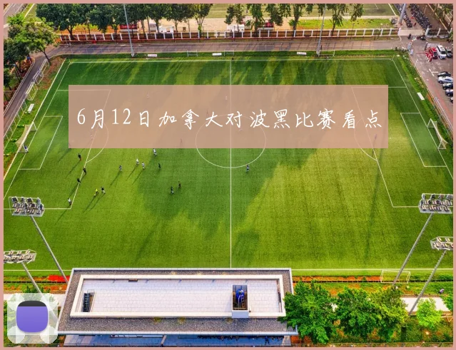 6月12日加拿大对波黑比赛看点