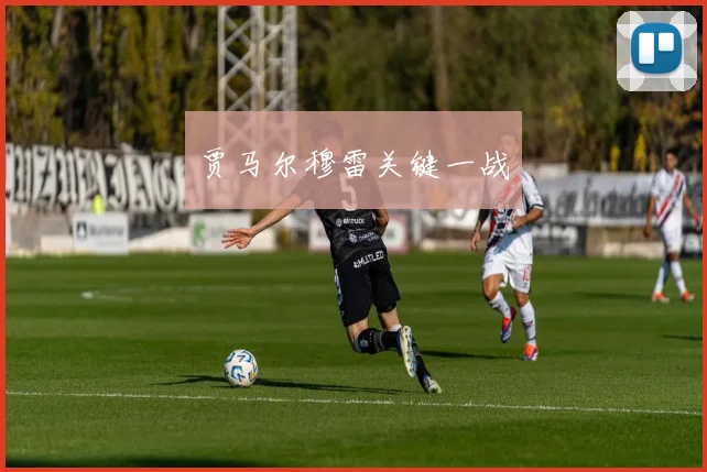 贾马尔穆雷关键一战