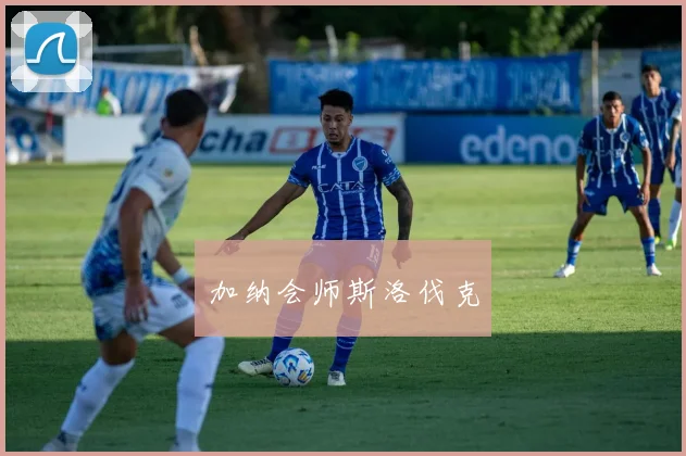 加纳会师斯洛伐克