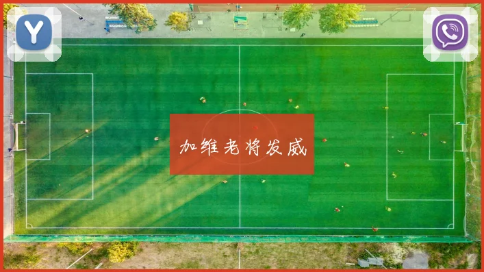 加维老将发威