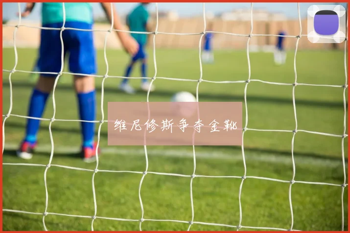 维尼修斯争夺金靴