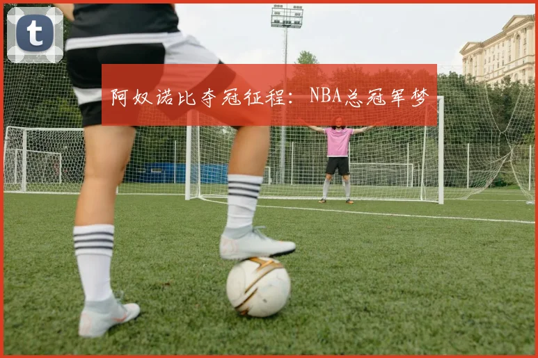 阿奴诺比夺冠征程：NBA总冠军梦