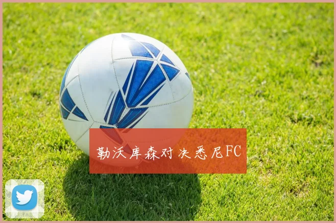 勒沃库森对决悉尼FC