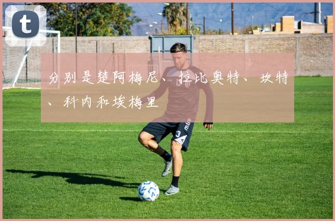 分别是楚阿梅尼、拉比奥特、坎特、科内和埃梅里