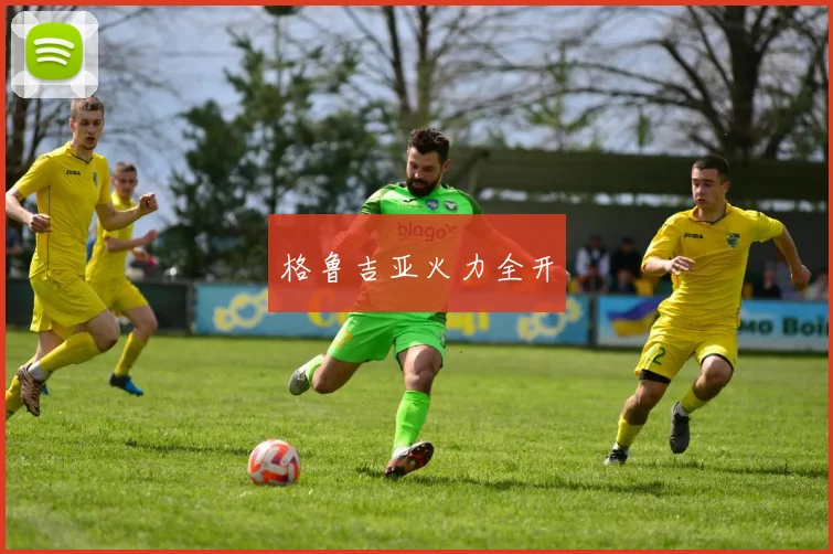 格鲁吉亚火力全开