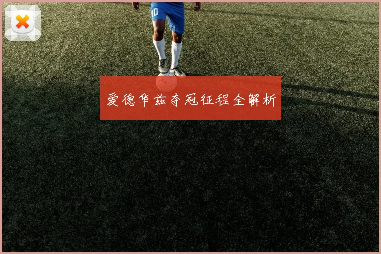 爱德华兹夺冠征程全解析