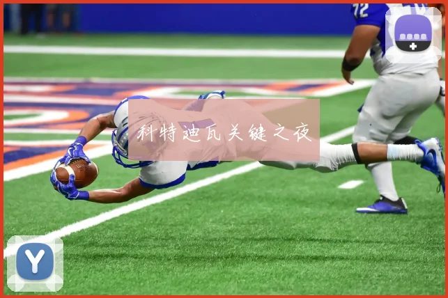 科特迪瓦关键之夜