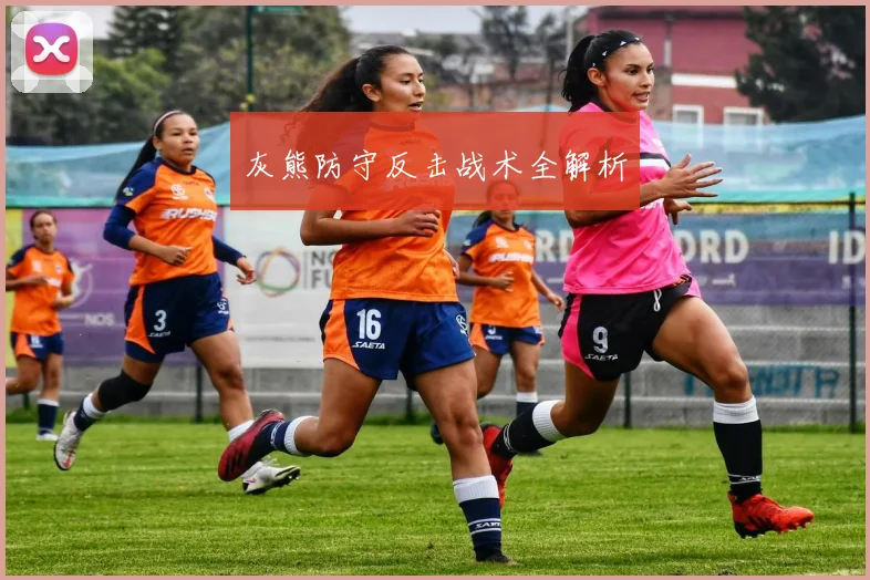 灰熊防守反击战术全解析