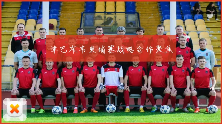 津巴布韦柬埔寨战略合作聚焦