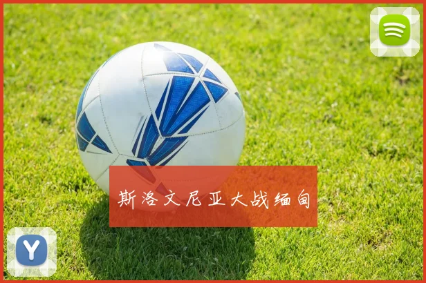 斯洛文尼亚大战缅甸