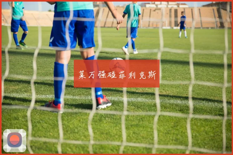 莱万强碰菲利克斯