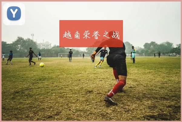 越南荣誉之战