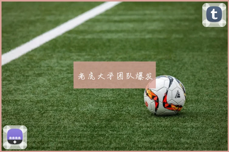 老虎大学团队爆发