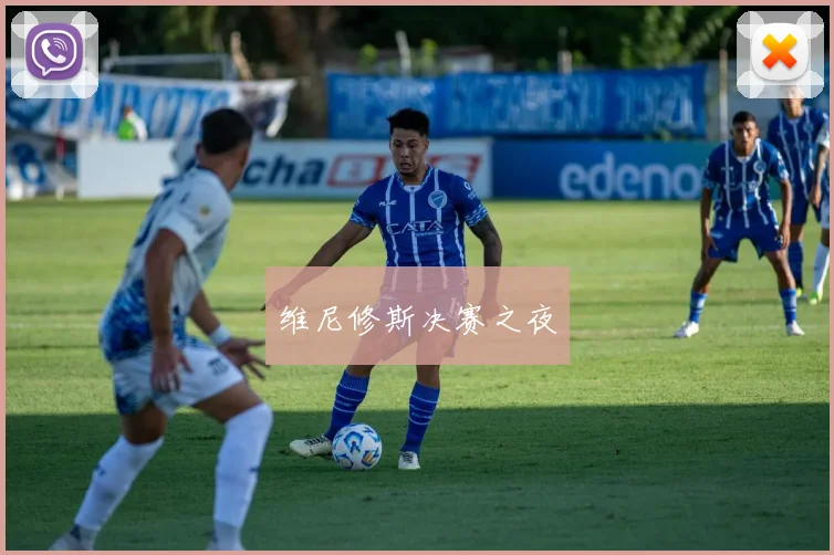 维尼修斯决赛之夜