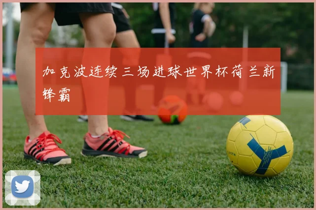 加克波连续三场进球世界杯荷兰新锋霸