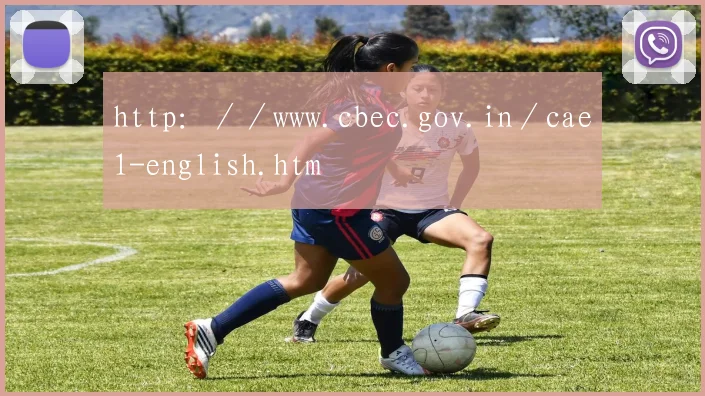http：／／www.cbec.gov.in／cae1-english.htm
