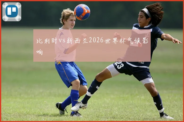 比利时vs新西兰2026世界杯气候影响