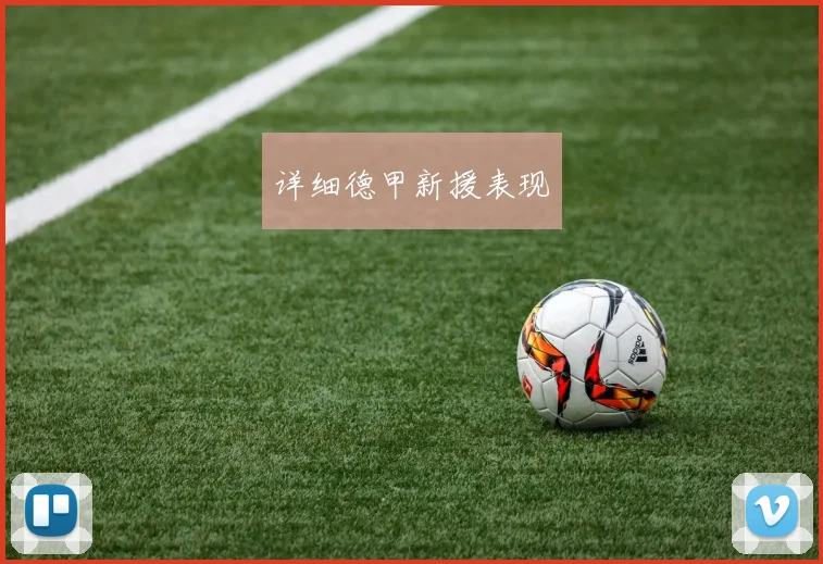 详细德甲新援表现