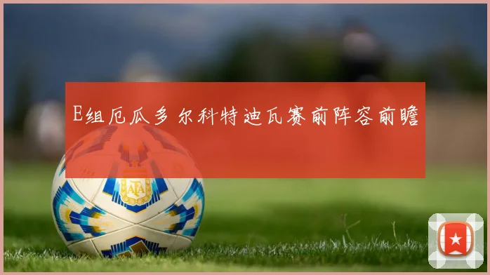 E组厄瓜多尔科特迪瓦赛前阵容前瞻